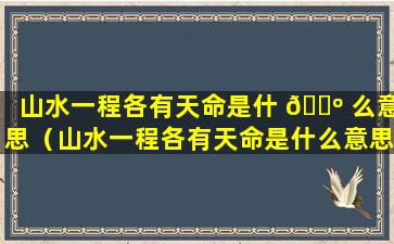 山水一程各有天命是什 🌺 么意思（山水一程各有天命是什么意思感情）